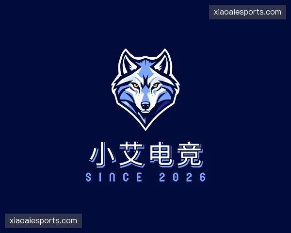 关于小艾电竞官方网站